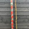 Trompet klimmer - Afbeelding 7