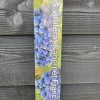 Druif blauw - Afbeelding 2